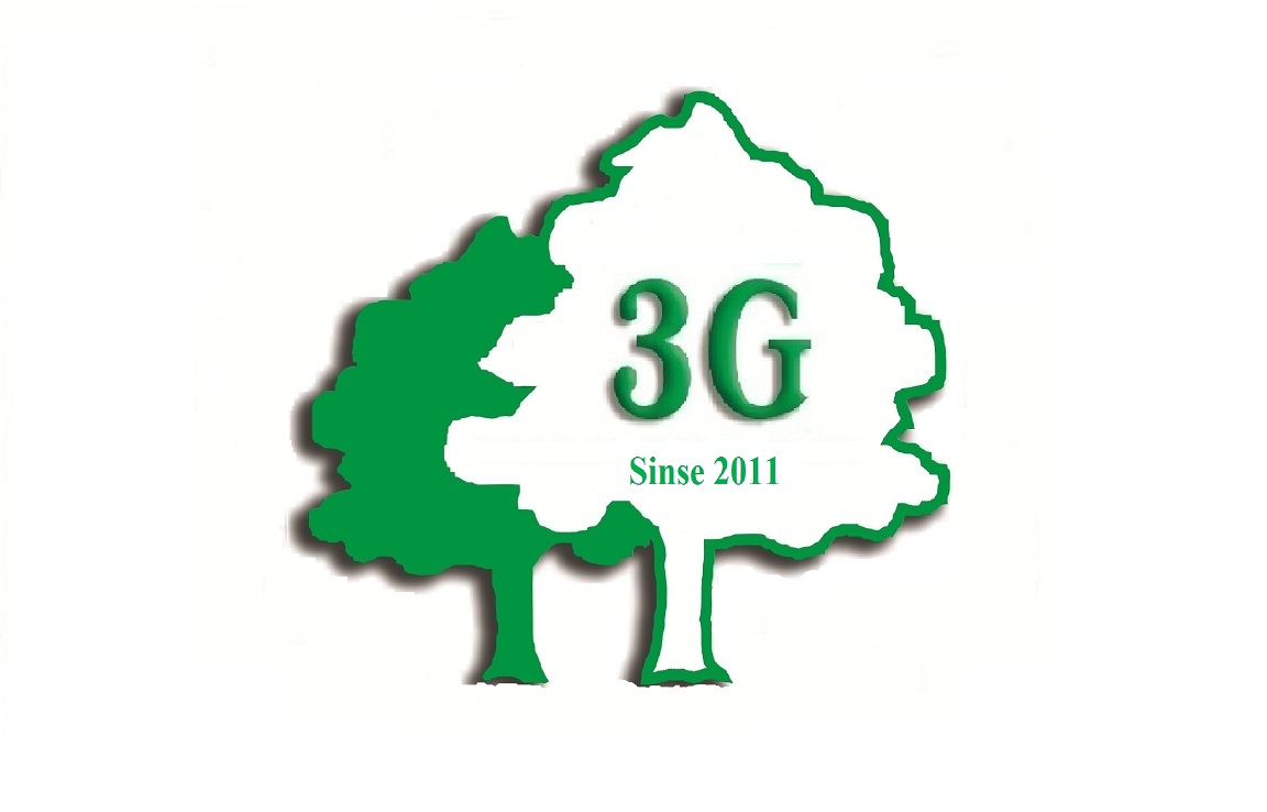 3G – Georgian Global Group